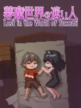 Cover Lost in the World of Succubi