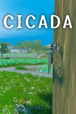 Cicada